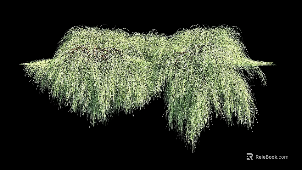 Green Hanging Basket Plants With Trailing Foliage On Black Background 3d model 
