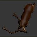 Brown Deer With Large Antlers Standing In Full Body Natural View