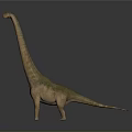 Realistic Sauropod Dinosaur 3D Model With Long Neck Standing On Gray Background