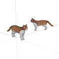Two Brown And White Tabby Cats Standing On White Background With Realistic Details