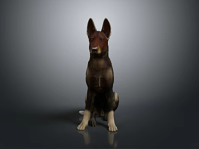 German Shepherd 3D Model Sitting with Brown Black Fur and Erect Ears on Gray Background 3d model