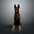 German Shepherd 3D Model Sitting with Brown Black Fur and Erect Ears on Gray Background
