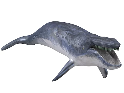 Streamlined Blue Gray Mosasaur Aquatic Animal With Sharp Teeth Open Mouth And Flippers 3d model