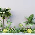 Different Types of Garden Plants Featuring Palm Trees Flowering Shrubs and Green Foliage