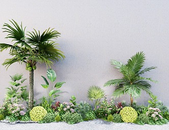 Courtyard garden plant flower border tree shrub ball palm tree green plant pile plant combination 3d model