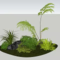 3D Rendered Green Plants Landscape With Ferns Palm and Stone in Circular Area