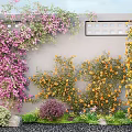 Vibrant Plant Combination With Pink Orange Climbing Plants Low Shrubs And Gray Wall