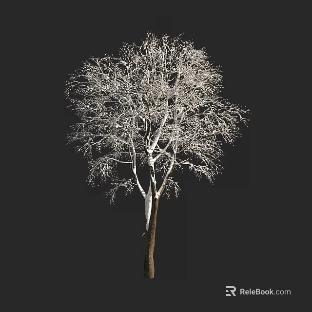 Isolated Leafless Tree With Brown Trunk And Bare Branches Against Black Background 3d model 