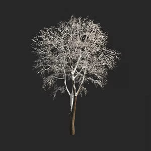 autumn and winter plants shrub tree snow cover 3d model