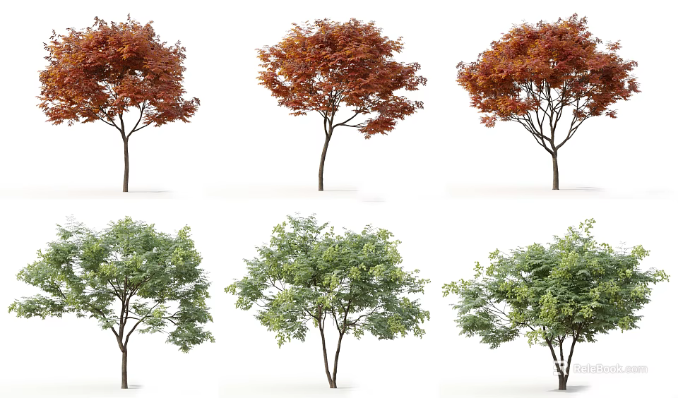 Ornamental Arbor Trees with Red and Green Leaves Different Varieties for Landscape Design 3d model 