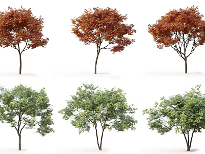 Ornamental Arbor Trees with Red and Green Leaves Different Varieties for Landscape Design 3d model
