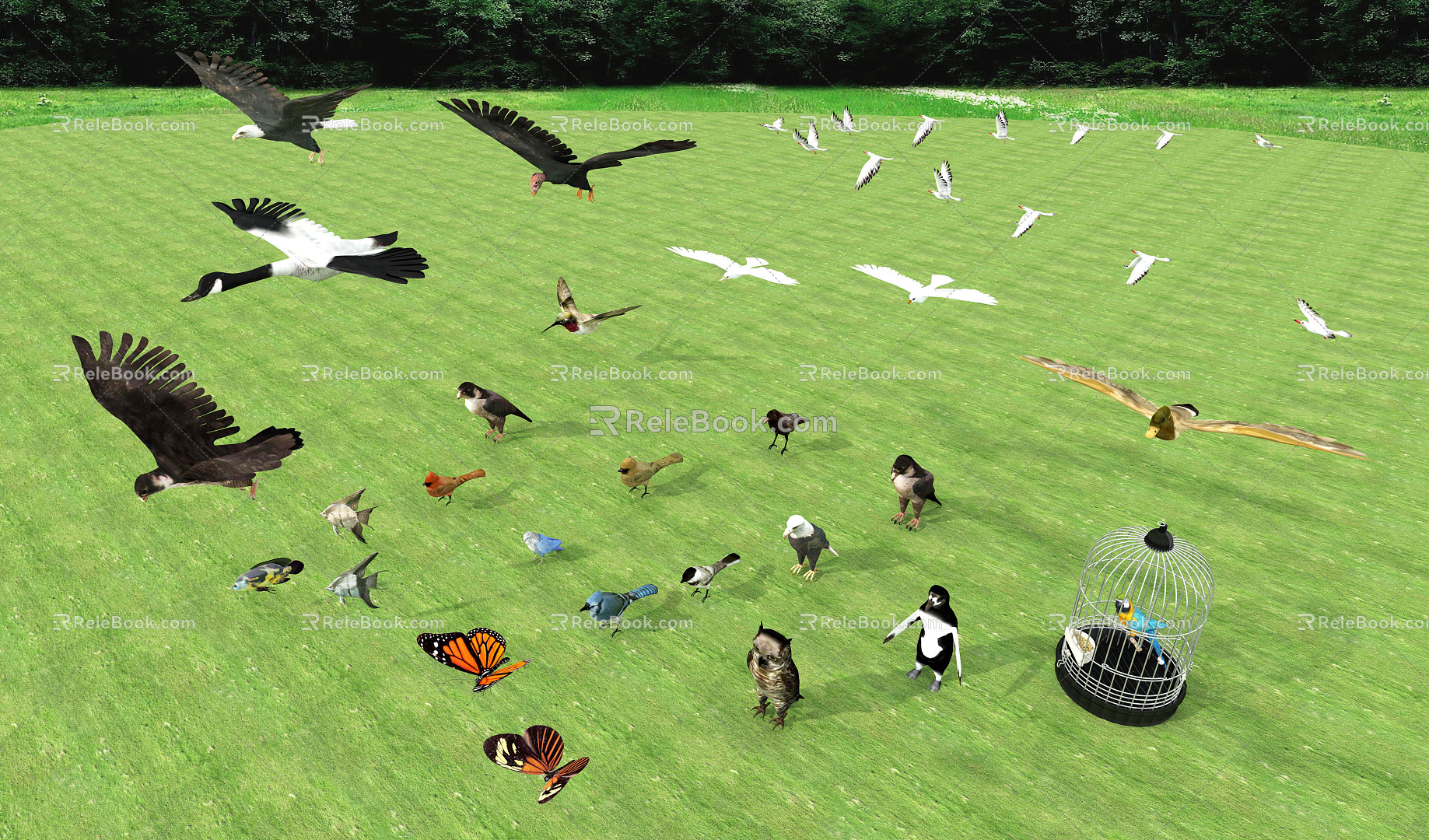 Large collection of modern animal flying animals 3d model