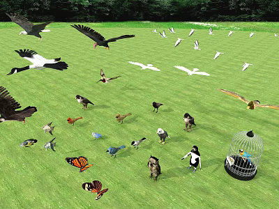 Large collection of modern animal flying animals 3d model