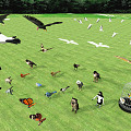 Large collection of modern animal flying animals 3d model