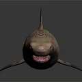 Grayish Brown Spotted Shark Model With Open Mouth Sharp Teeth On Dark Background With Reflection
