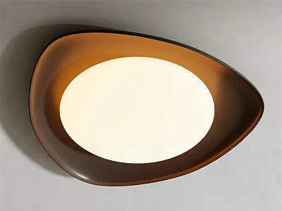 Modern Contemporary Ceiling Light With Unique Brown Frame And White Illumination 3d model
