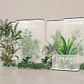 COSMOS Plant Combination In Transparent Display Cases With Green Leafy And Palm Plants