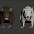 Two Brown and White Mice as Main Characters in Realistic 3D Rendering on Dark Background 3d model