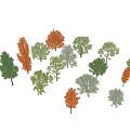 Diverse Arbor Trees With Green Orange White Foliage And Natural Shadows