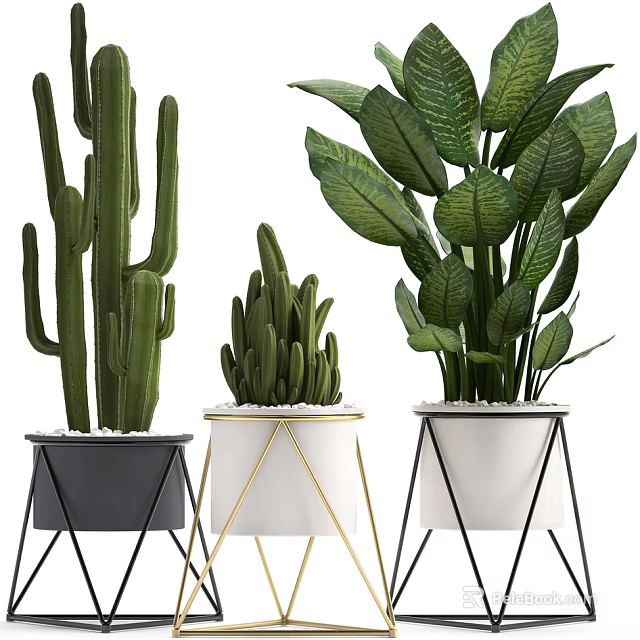 Varied Potted Plants Including Cactus And Large Leaf Types In Stylish Metal Stand Planters 3d model 