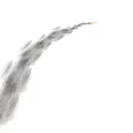 Military Missile Flying With Long Grey Smoke Trail On White Background