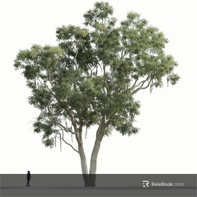Lush Green Tree with Dense Foliage and Multiple Branches in Natural Growth 3d model 