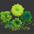 Lush Green Plant Scenery Components With Various Leaves Grass And Bushes