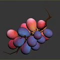 Fresh Red And Purple Grapes With Green Vine On Dark Background