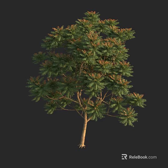 Arbor Tree With Lush Green Foliage And Brown Trunk In Natural Growth 3d model 