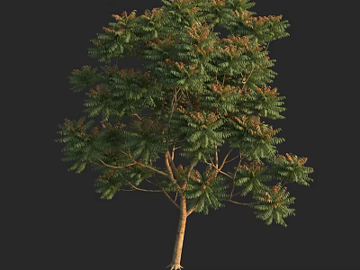 Arbor Tree With Lush Green Foliage And Brown Trunk In Natural Growth 3d model