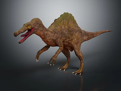 Modern Dinosaur Jurassic Pterosaur Longnecked Dinosaur 3d model