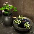 Courtyard Garden Design With Ceramic Pot Lotus Flowers Lily Pads And Goldfish Basin