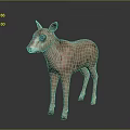 Cute Pinkish Fawn With Black Eye Patches Standing On Reflective Dark Surface