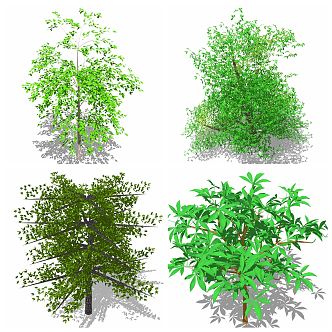 modern tree flowers green plants 3d model