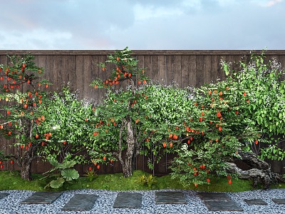 Courtyard Old Pile Fruit Tree Orange Tree Vine Climbing Stone Micro Terrain Ting Step model