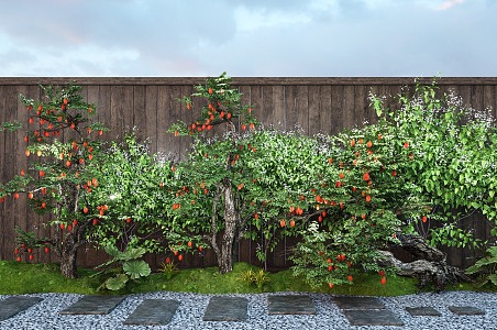 Courtyard Old Pile Fruit Tree Orange Tree Vine Climbing Stone Micro Terrain Ting Step 3d model