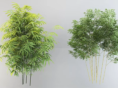 Lush Green Bamboo Plants With Dense Foliage And Slender Golden Stems For Garden Landscaping 3d model