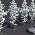Snow Covered Trees In Outdoor View With Silver Car Parked Nearby