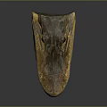 Crocodile Alligator Nile Crocodile carnivore reptile cold-blooded animal reptile 3d model