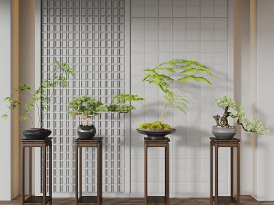 Bonsai Potted Plants on Dark Wooden Stands Against Gray Lattice and Tile Wall 3d model
