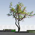 Lush Tree With Curved Trunk Green Leaves And Pink Flowers Against Blue Sky