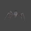 Game and Movie Spider Character 3D Model Design With Gray Background Details
