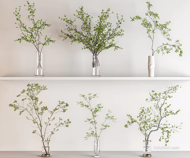 Decorative Green Branch Arrangements In Various Glass And Ceramic Vases On White Shelf 3d model 