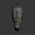 Realistic Detailed Elephant Figure With Textured Skin Standing On Dark Background
