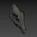 Highly Detailed Animal Skull Model Display In Scientific Research Setting