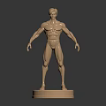 Standing Golden Human Muscle Anatomical Model for Medical Education on Black Base