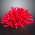 Vibrant Red Feathery Flower with Fluffy Spherical Form Against Dark Background 3d model