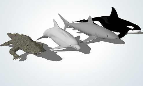 Modern Whale Crocodile Shark 3d model