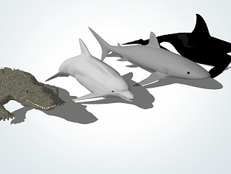 Modern Whale Crocodile Shark 3d model