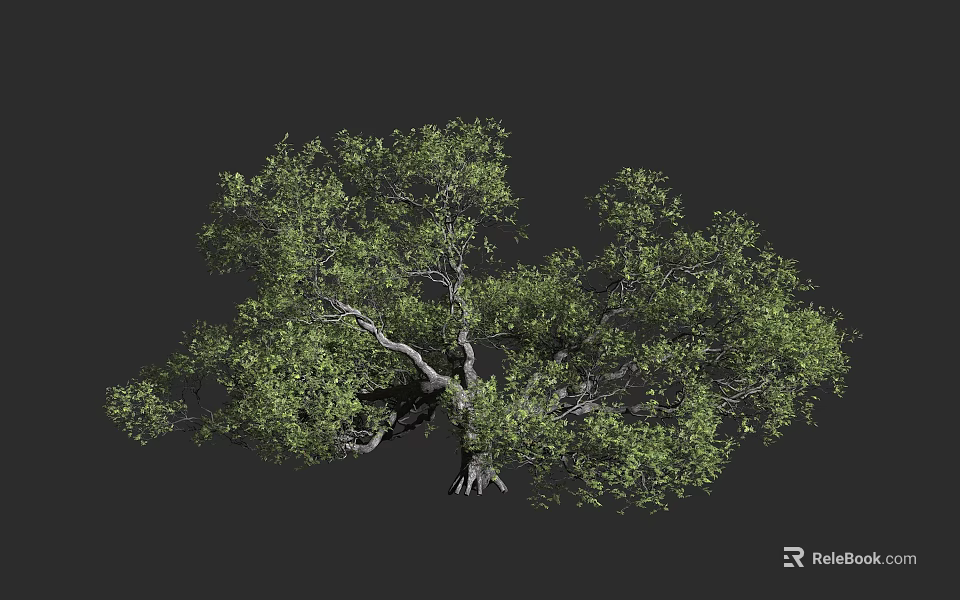 Lush Green Arbor With Twisted Branches And Dense Foliage Growth 3d model 